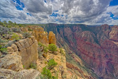 Coronado Point at Grand Canyon AZ