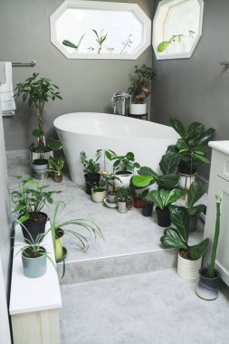 Genç çiçeklerle dolu parlak bir banyo.