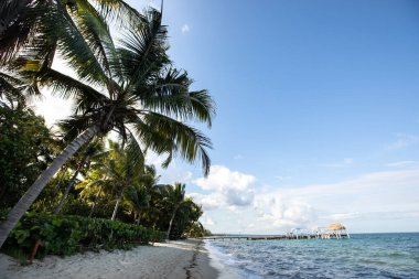 Beautiful deserted beach coastline in Hopkins, Belize clipart