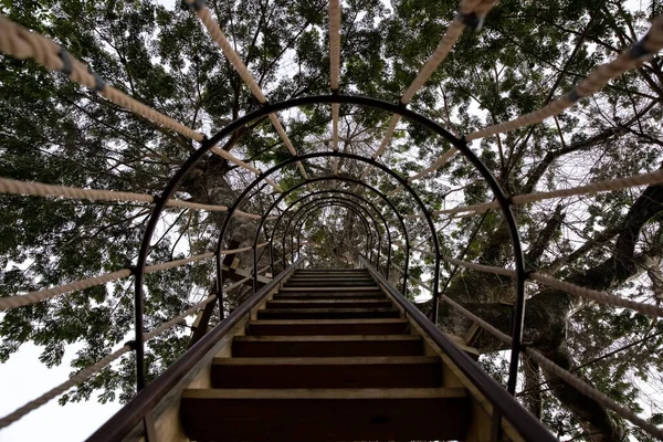 Vista Desde Parte Inferior Escalera Casa Del Árbol Selva Tropical —  Fotos de Stock