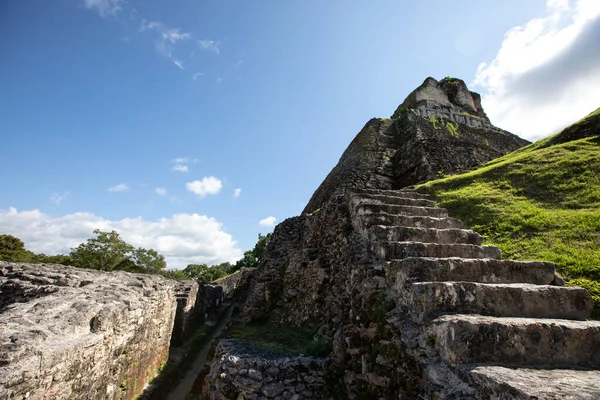 Escadaria Antiga Ruínas Xunantunich Belize — Fotografia de Stock