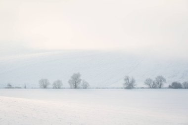 Velka Fatra dağlarının eteklerinde Slovakya.