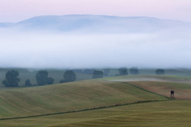 Slovakya, Bela-Dulice 'deki tarlalarda sabah sisi.