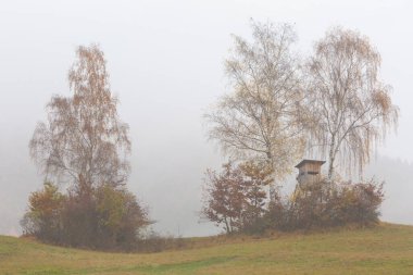 Slovakya 'nın Mala Fatra dağlarının eteklerinde av gözcüsü.