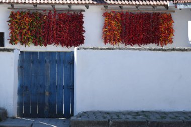 Hasat zamanı biber kurutmak