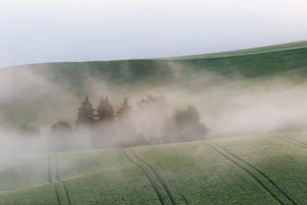 Mlhavá Pole Vesnici Turcianske Jaseno Slovensko — Stock fotografie