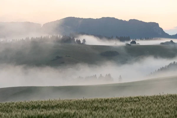 ヴェルカFatra山 スロバキアの麓に朝の霧 — ストック写真