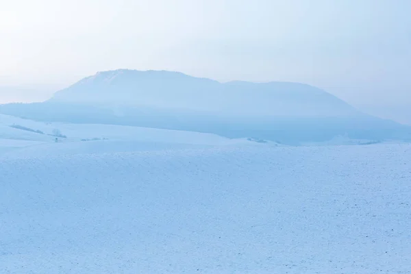 Winterliche Ausläufer Der Großen Fatra Slowakei — Stockfoto