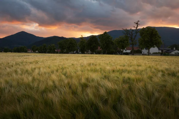 Avondzicht Bystricka Dorp Mala Fatra Bergen Slowakije — Stockfoto