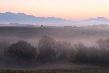 Slovakya Turiec nehrinin taşkın ovasında sisli bir sabah.