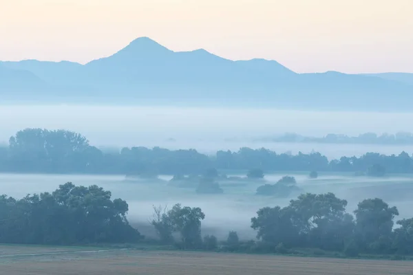 Nebel Morgen Der Aue Des Flusses Turiec Slowakei — Stockfoto