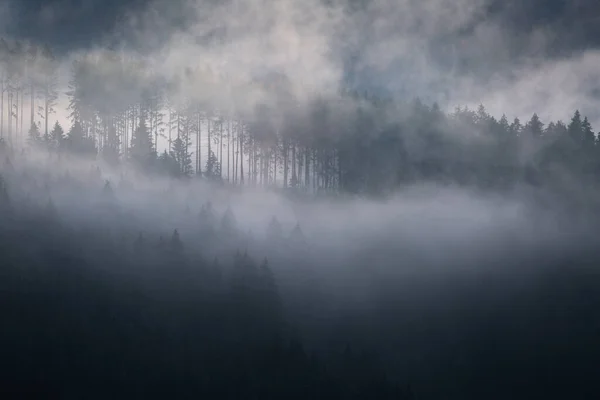 Parco Nazionale Velka Fatra Nel Nord Della Slovacchia — Foto Stock