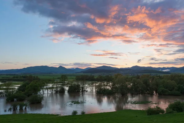 Floodplain River Turiec Laskar Village Slovakia — Stock Photo, Image