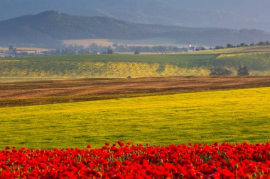 Turiec bölgesinin yaz kırsal manzarası, Slovakya.