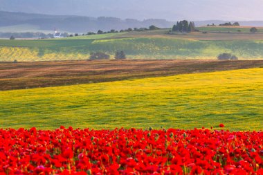 Turiec bölgesinin yaz kırsal manzarası, Slovakya.