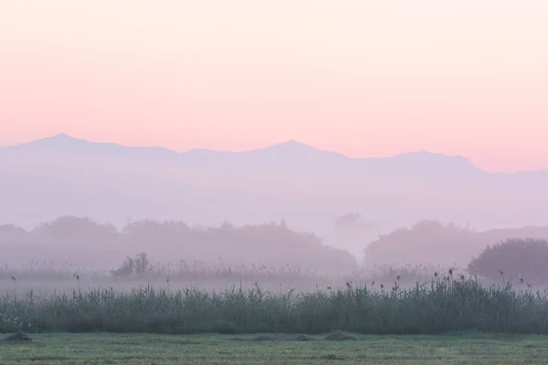 Morgennebel Naturschutzgebiet Klastorske Luky Slowakei — Stockfoto