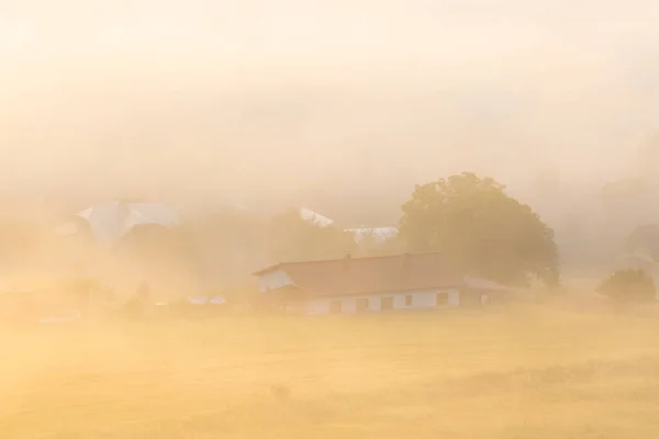 Туман Деревне Соковце Летним Утром Словакия — стоковое фото