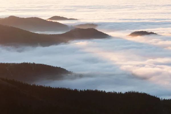 Mala Fatra Gebirge Niedrigen Wolken Gehüllt Slowakei — Stockfoto