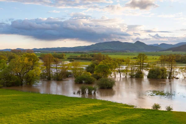 Floodplain River Turiec Laskar Village Slovakia — Stock Photo, Image