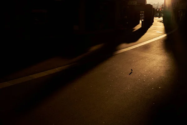 Buildings shadows on asphalt path in city