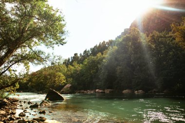 Ağaçlarla çevrili güzel bir nehirde gün batımı
