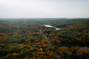 Düşen yaprakların ve suyun drone görünümü