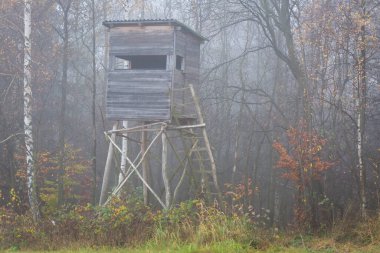 Slovakya 'nın Mala fatra dağlarının eteklerinde av saklanıyor..