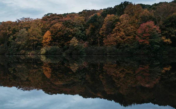 Colorido Queda Folhagem Reflexão Sobre Água Uma Lagoa — Fotografia de Stock