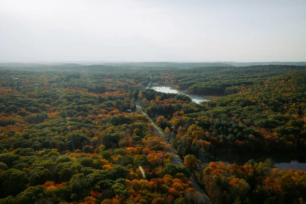 Drohnen Ansicht Von Laub Und Wasser Herbst — Stockfoto