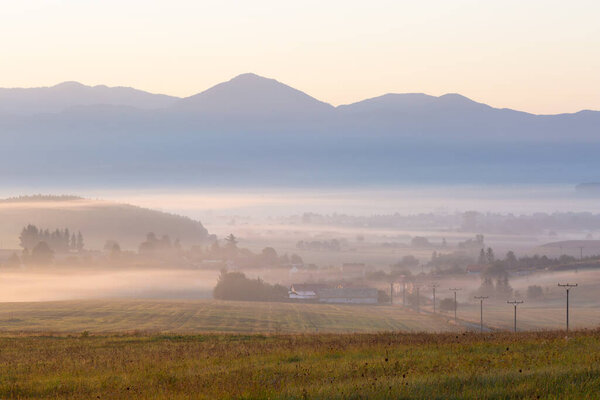 Утренний туман в полях Ондрасова, Словакия.