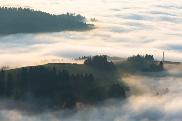 Туман Предгорьях Национального Парка Велка Фатра Словакия — стоковое фото