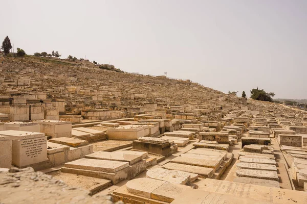 Zeytin Dağı Yahudi Mezarlığı Kudüs Srail — Stok fotoğraf