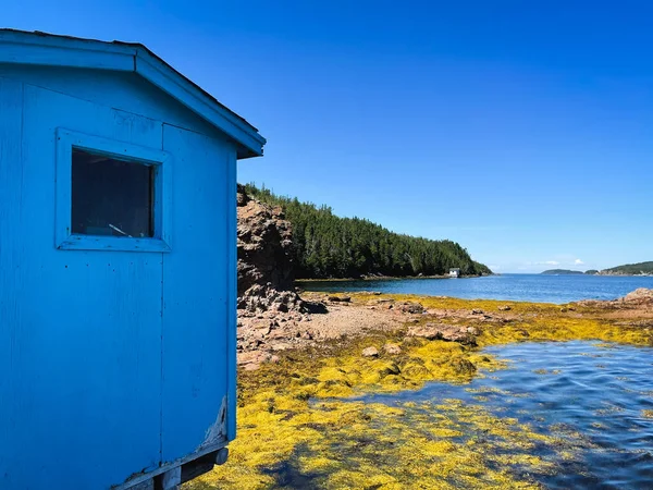 纽芬兰省海洋边缘的蓝色渔网 — 图库照片