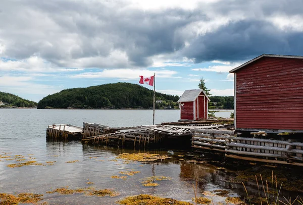 纽芬兰省农村社区的海上红色渔区 — 图库照片