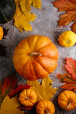 Masanın üzerinde bir balkabağı