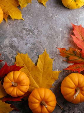 Sonbahar temalı balkabaklarıyla, yapraklarıyla