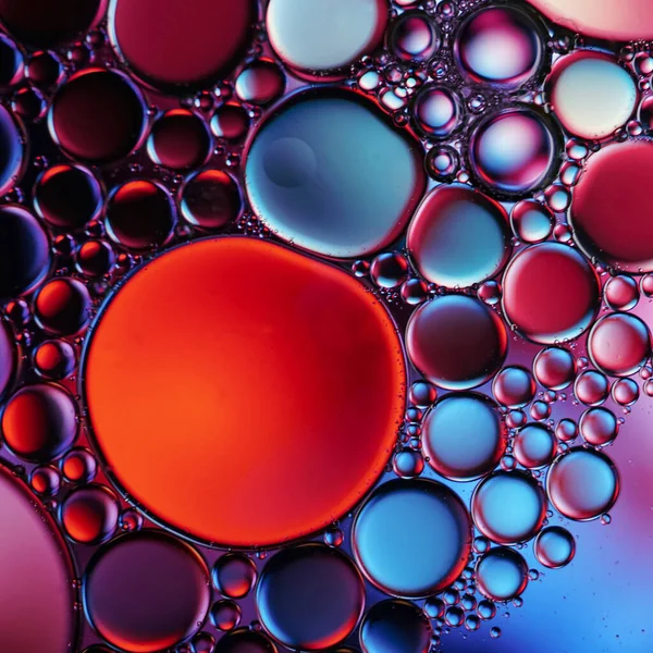 Colorful Circles Water Oil Multi Colored Background — Stock Photo, Image