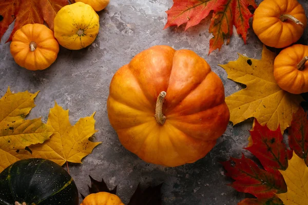 Whole Beautiful Pumpkin Table — Stock Photo, Image