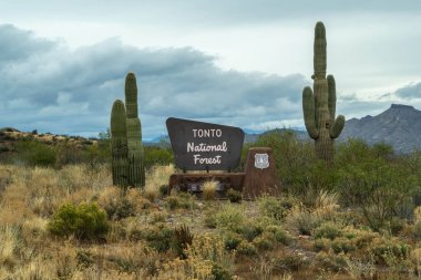 Tonto NF, AZ, USA - Dec 25, 2021: A welcoming signboard at the entry point of park