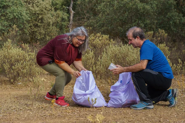 Couple Environmentalists Collecting Garbage Field — Stock Photo, Image