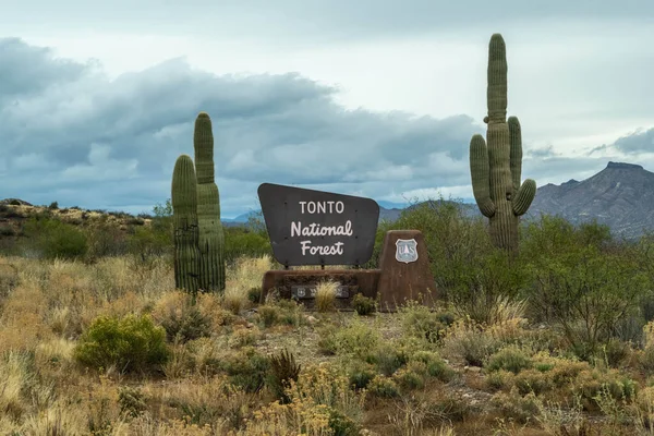 Tonto Usa Dec 2021 Welcoming Signboard Entry Point Park — Stockfoto