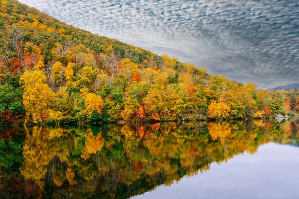 Colors Fall Water Reflection — Stock Photo, Image