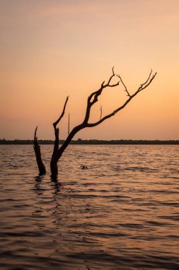 Brezilya Amazon 'undaki Negro Nehri üzerinde gün doğumuna güzel bir manzara