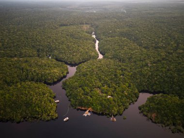 Anavilhanas takımadası yakınlarındaki Negro Nehri 'ne güzel bir hava manzarası.