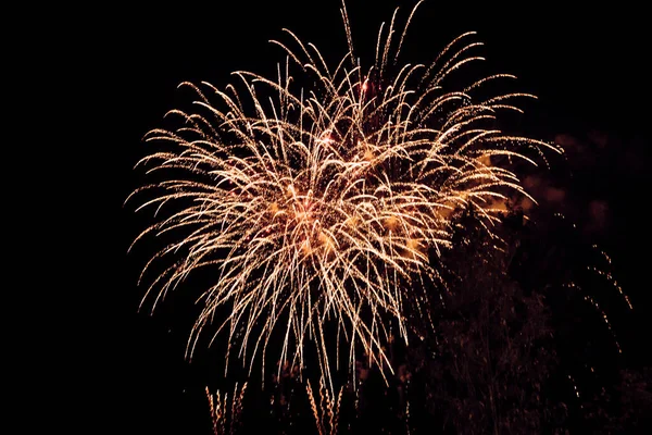 Close Colorful Fireworks Sky Night — Stock Photo, Image