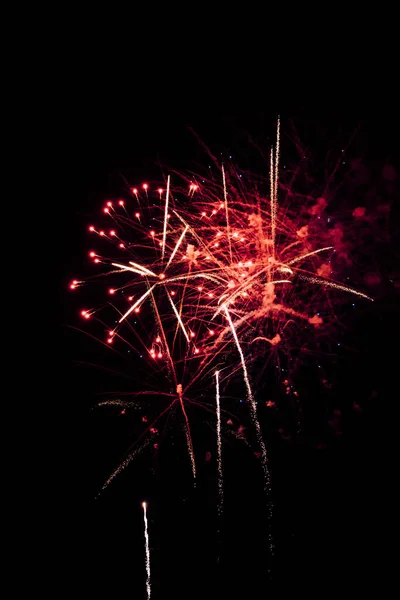 Colorful Fireworks Sky Night — Stock Photo, Image