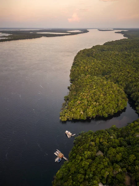Hermosa Vista Aérea Río Negro Vegetación Verde Amazónica —  Fotos de Stock