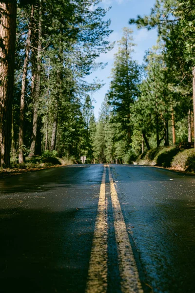 Road Trip Yosemite Californie — Photo