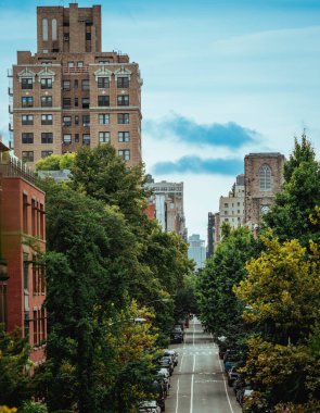 Central Park Ağaçları New York Ağaçları Binalar Caddesi
