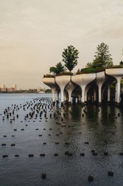 New York nehrindeki küçük ada parkı manzarası